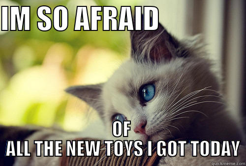 IM SO AFRAID                 OF  ALL THE NEW TOYS I GOT TODAY First World Problems Cat