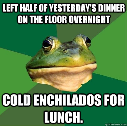Left half of yesterday's dinner on the floor overnight Cold enchilados for lunch.  Foul Bachelor Frog