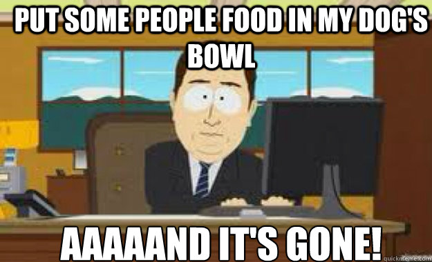 Put some people food in my dog's bowl AAAAAND IT'S GONE!  aaaand its gone