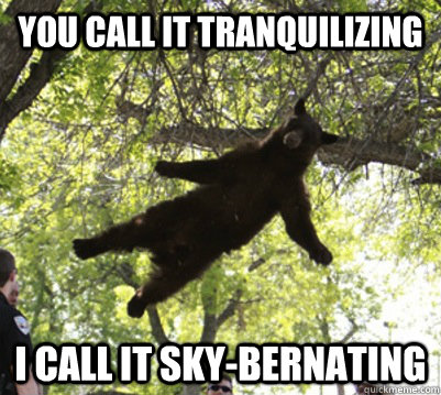 you call it tranquilizing i call it sky-bernating  