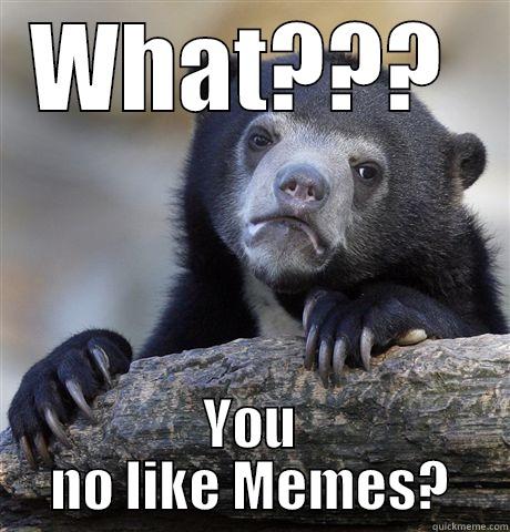 WHAT???  YOU NO LIKE MEMES? Confession Bear