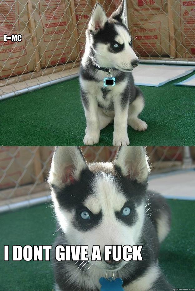 E=MC I DONT GIVE A FUCK  Insanity puppy