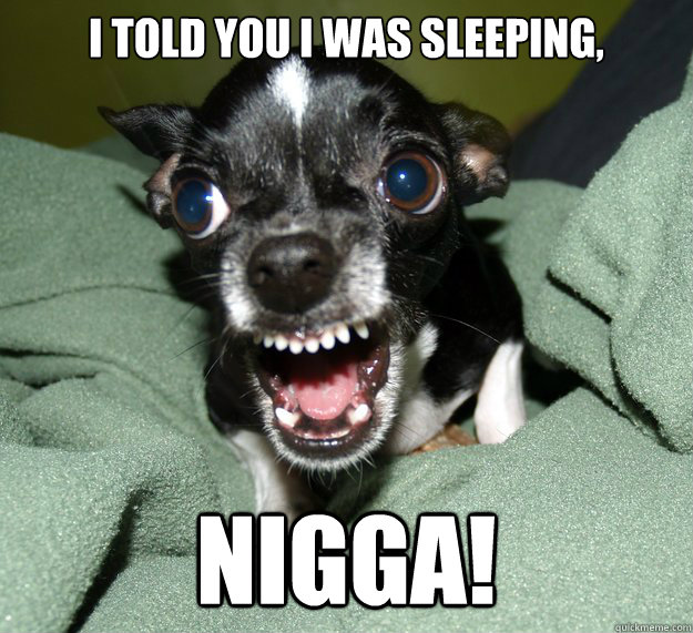 I TOLD YOU I WAS SLEEPING, NIGGA!  Chihuahua Logic