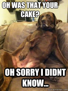Oh was that your cake? Oh sorry i didnt know...  Fat dog