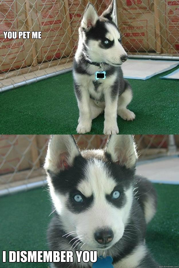 You pet me I dismember you  Insanity puppy