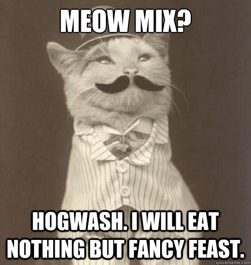 meow mix? hogwash. I will eat nothing but fancy feast.  Original Business Cat