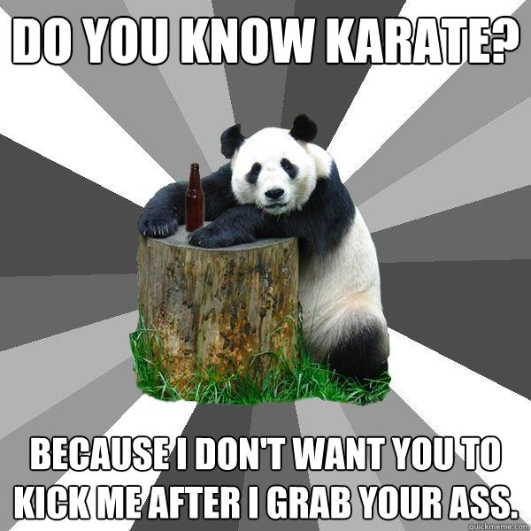 do you know karate? because i don't want you to kick me after i grab your ass. - do you know karate? because i don't want you to kick me after i grab your ass.  Pickup-Line Panda