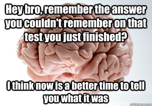 Hey bro, remember the answer you couldn't remember on that test you just finished? I think now is a better time to tell you what it was - Hey bro, remember the answer you couldn't remember on that test you just finished? I think now is a better time to tell you what it was  Scumbag Brain