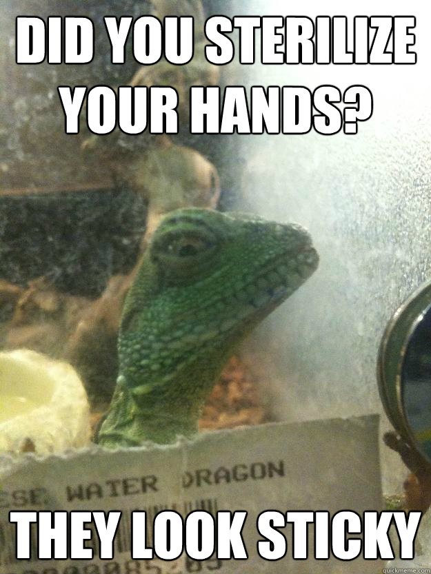 Did you sterilize your hands? They look sticky - Did you sterilize your hands? They look sticky  Leery Lizard