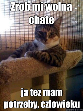 Zrob mi wolna chate  ja tez mam potrzeby, czlowieku  The Most Interesting Cat in the World