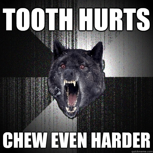 Tooth hurts CHEW EVEN HARDER  Insanity Wolf