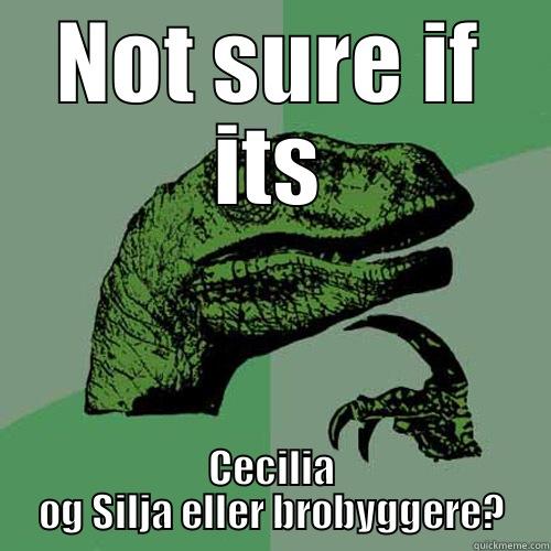 NOT SURE IF ITS CECILIA OG SILJA ELLER BROBYGGERE? Philosoraptor