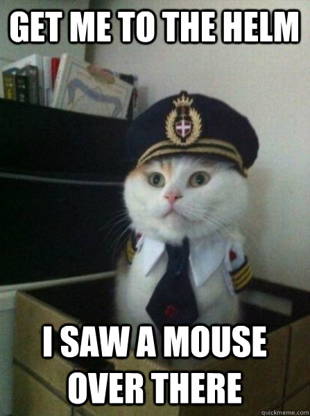 Get me to the helm I saw a mouse over there  Captain kitteh