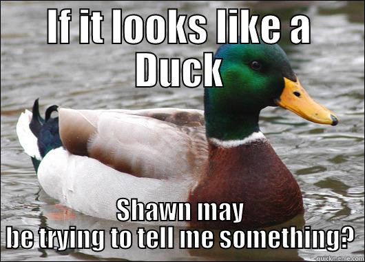IF IT LOOKS LIKE A DUCK SHAWN MAY BE TRYING TO TELL ME SOMETHING? Actual Advice Mallard