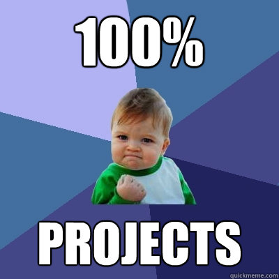 100% PROJECTS  Success Kid