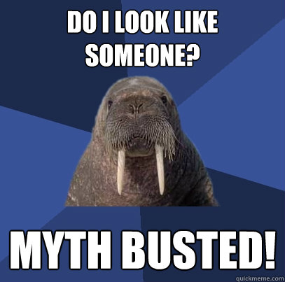do i look like someone? myth busted! - do i look like someone? myth busted!  Web Developer Walrus