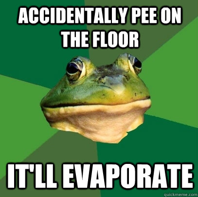 accidentally pee on the floor it'll evaporate  Foul Bachelor Frog