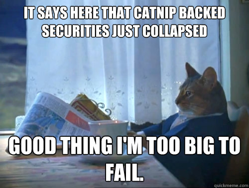 it says here that catnip backed securities just collapsed good thing i'm too big to fail.  The One Percent Cat