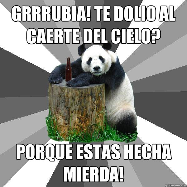 grrrubia! te dolio al caerte del cielo? porque estas hecha mierda!  Pickup-Line Panda