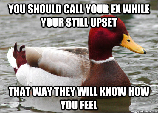 You should call your ex while your still upset that way they will know how you feel  Malicious Advice Mallard