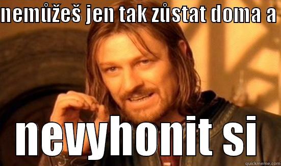 NEMŮŽEŠ JEN TAK ZŮSTAT DOMA A  NEVYHONIT SI Boromir