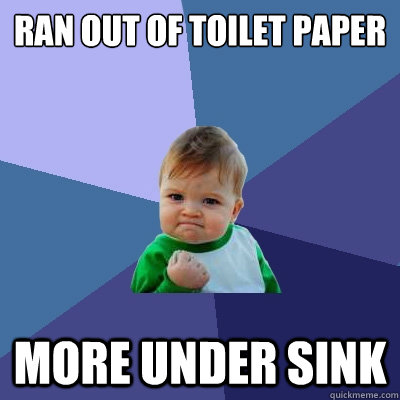 Ran out of toilet paper More under sink  Success Kid