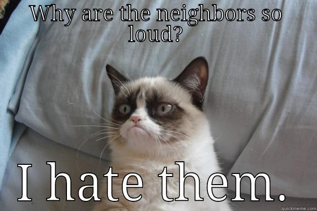 WHY ARE THE NEIGHBORS SO LOUD? I HATE THEM. Grumpy Cat
