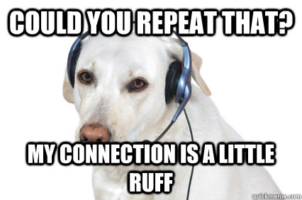 could you repeat that? my connection is a little ruff - could you repeat that? my connection is a little ruff  Telemarketer Dog