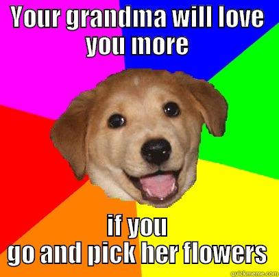 YOUR GRANDMA WILL LOVE YOU MORE IF YOU GO AND PICK HER FLOWERS Advice Dog