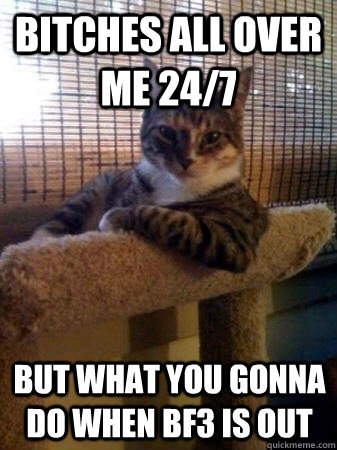 bitches all over me 24/7 but what you gonna do when bf3 is out  The Most Interesting Cat in the World