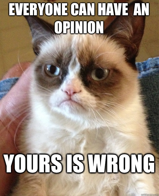 Everyone can have  an opinion  Yours is wrong  - Everyone can have  an opinion  Yours is wrong   Grumpy Cat