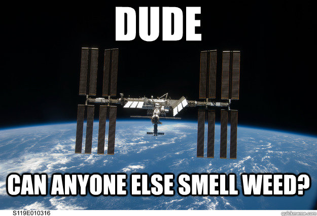 Dude can anyone else smell weed? - Dude can anyone else smell weed?  Misc