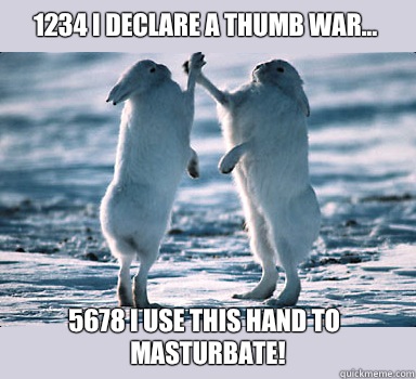 1234 I declare a thumb war... 5678 I use this hand to masturbate!  Bunny Bros