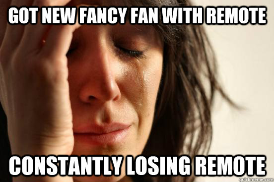 got new fancy fan with remote constantly losing remote  First World Problems