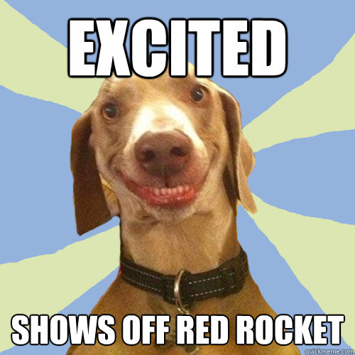 excited shows off red rocket - excited shows off red rocket  Disgusting Doggy