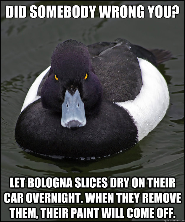 Did somebody wrong you? Let bologna slices dry on their car overnight. When they remove them, their paint will come off. - Did somebody wrong you? Let bologna slices dry on their car overnight. When they remove them, their paint will come off.  Revenge Duck