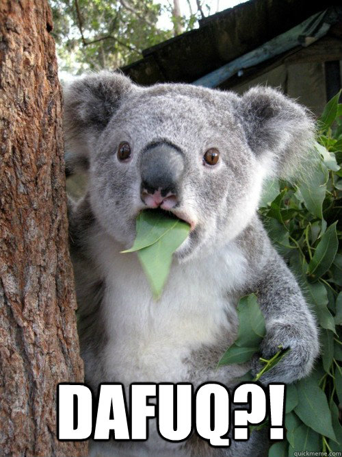  dafuq?!  Surprised Koala