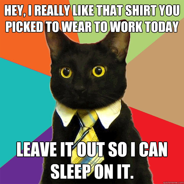 Hey, I really like that shirt you picked to wear to work today Leave it out so I can sleep on it.  Business Cat