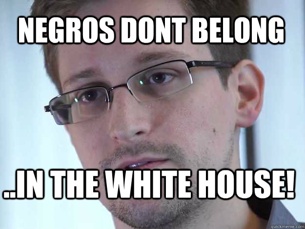 NEGROS DONT BELONG ..IN THE WHITE HOUSE!  