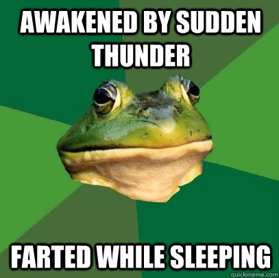 Awakened by sudden thunder farted while sleeping  Foul Bachelor Frog
