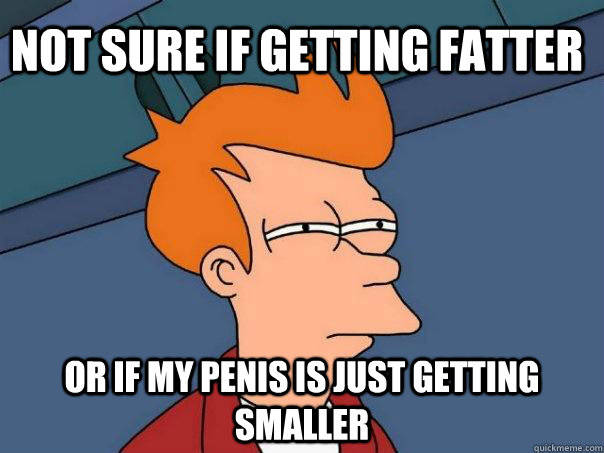 Not sure if getting fatter or if my penis is just getting smaller  Futurama Fry