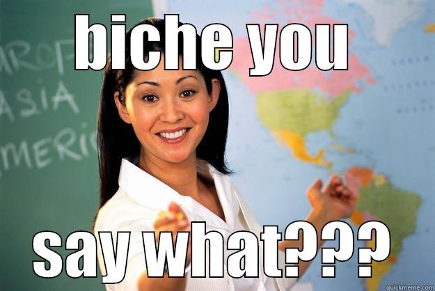 BICHE YOU SAY WHAT??? Unhelpful High School Teacher