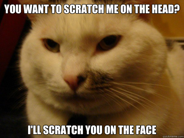 You want to scratch me on the head? I'll scratch you on the face  