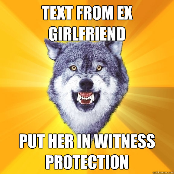 text from ex girlfriend  put her in witness protection   Courage Wolf
