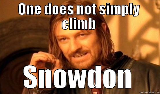ONE DOES NOT SIMPLY CLIMB SNOWDON Boromir