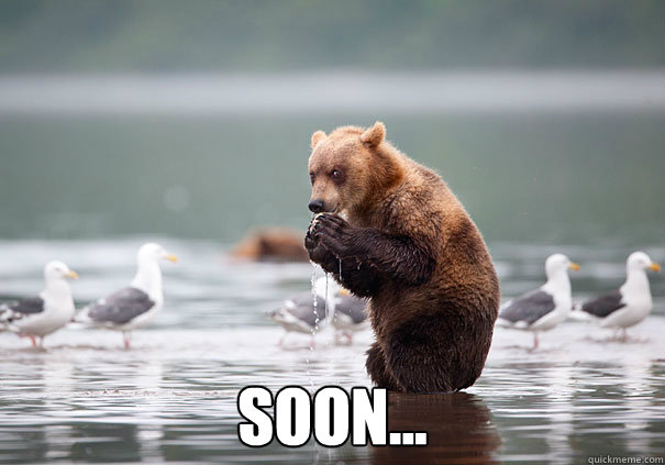  soon... -  soon...  Evil Bear