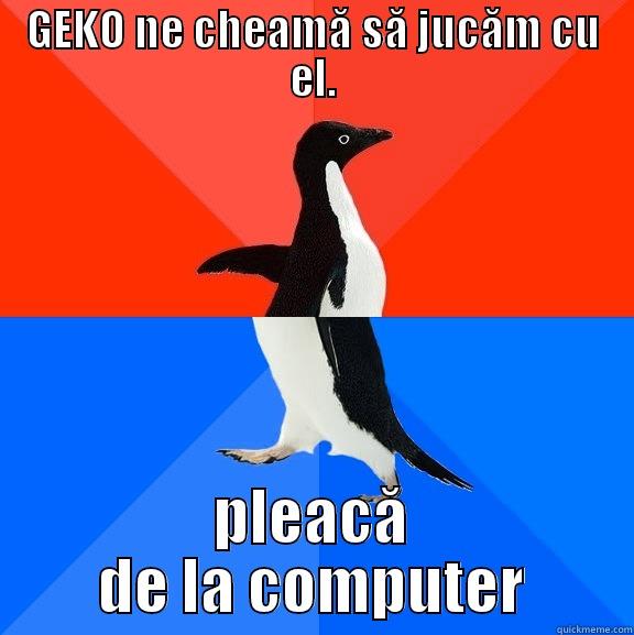 GEKO NE CHEAMĂ SĂ JUCĂM CU EL. PLEACĂ DE LA COMPUTER Socially Awesome Awkward Penguin