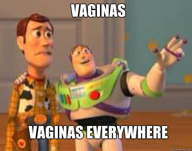 vaginas vaginas Everywhere  Woody and Buzz everywhere