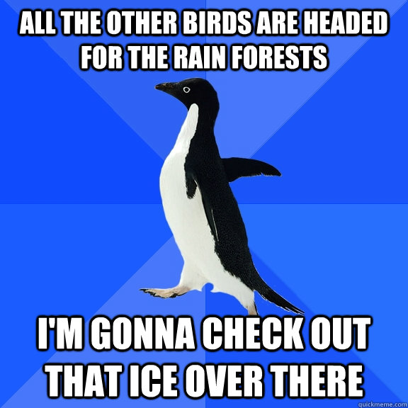 all the other birds are headed for the rain forests i'm gonna check out that ice over there  Socially Awkward Penguin