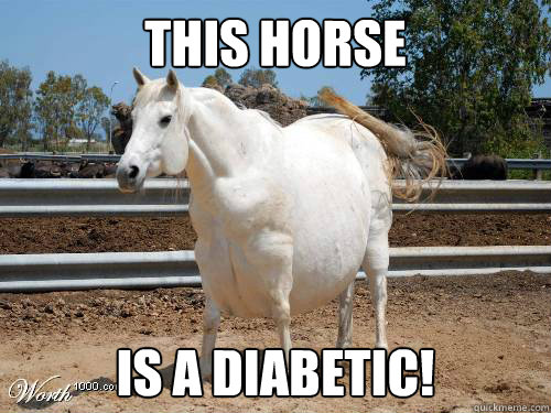 THIS HORSE IS A DIABETIC!  Fat Horse